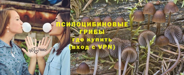ПСИЛОЦИБИНОВЫЕ ГРИБЫ Беломорск