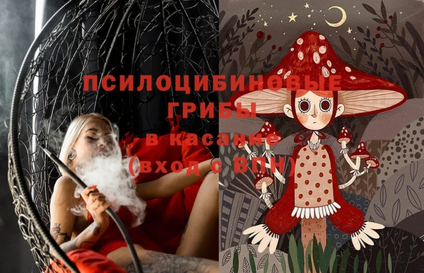 ПСИЛОЦИБИНОВЫЕ ГРИБЫ Беломорск