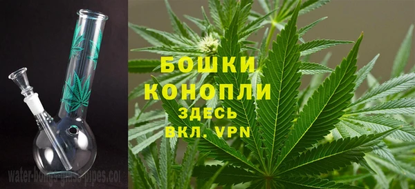 ПСИЛОЦИБИНОВЫЕ ГРИБЫ Беломорск