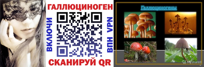 наркошоп  Краснослободск  гидра зеркало  Псилоцибиновые грибы мицелий 